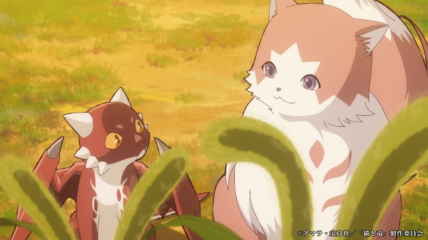 猫と竜