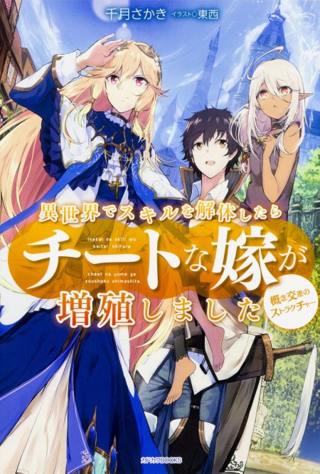 異世界でスキルを解体したらチートな嫁が増殖しました