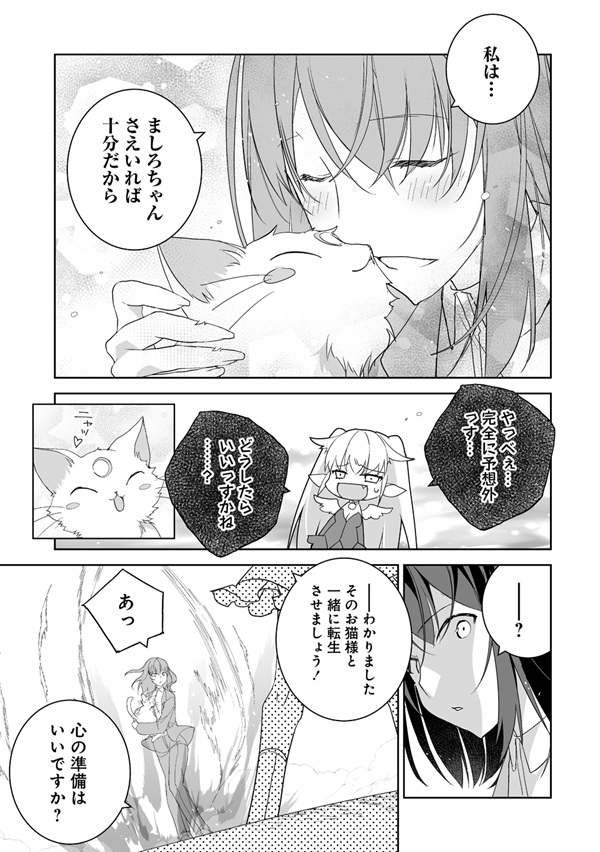 転生幼女は愛猫とのんびり旅をする