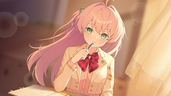 桃園める