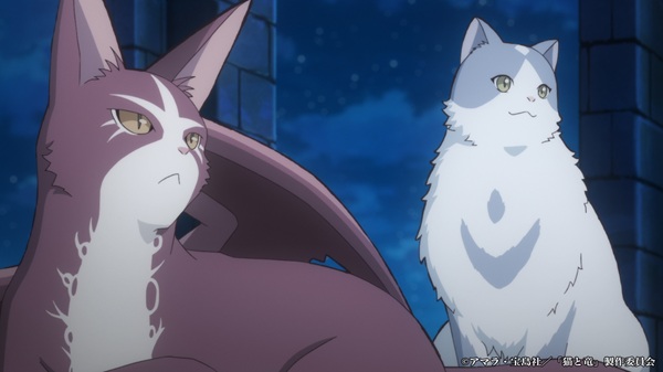 猫と竜