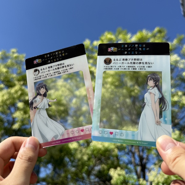青春ブタ野郎はバニーガール先輩の夢を見ない