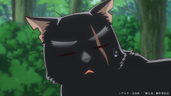 猫と竜