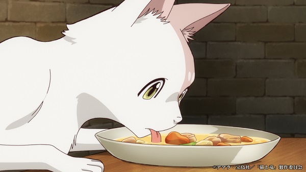 猫と竜