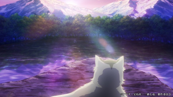 猫と竜