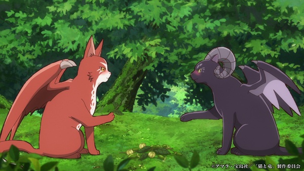 猫と竜