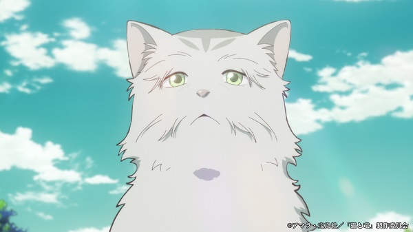 猫と竜