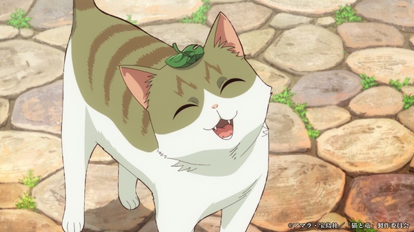 猫と竜