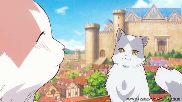 猫と竜