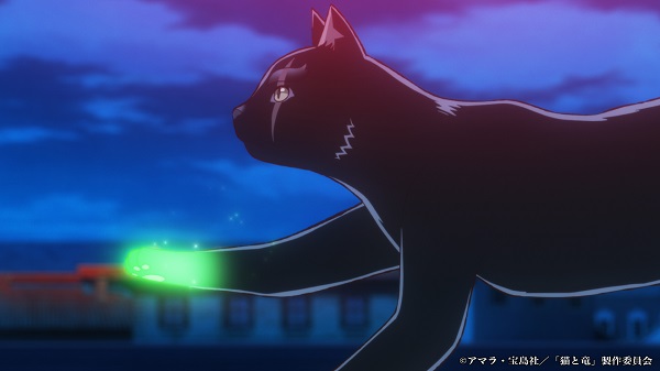 猫と竜