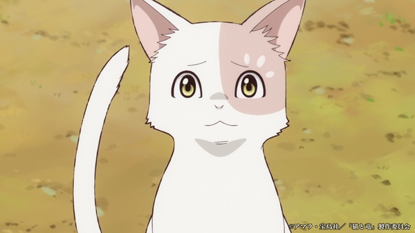 猫と竜