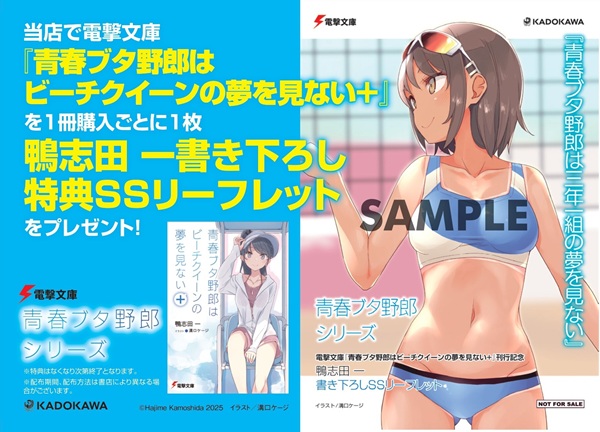 青春ブタ野郎はビーチクイーンの夢を見ない