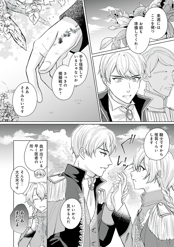 彗星乙女後宮伝