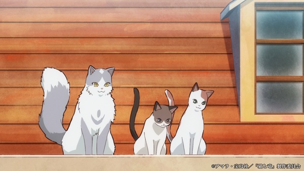 猫と竜