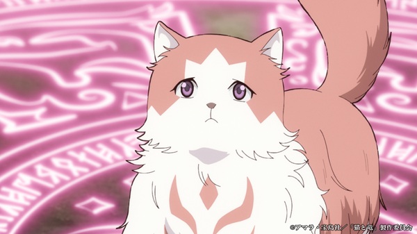 猫と竜