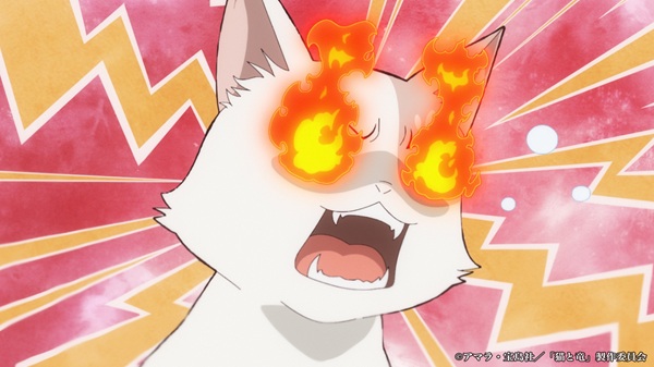 猫と竜