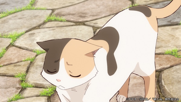 猫と竜