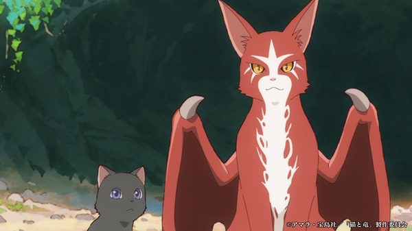 猫と竜