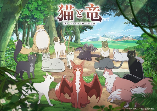 猫と竜 キービジュアル