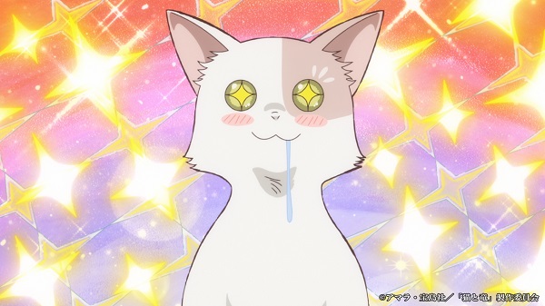 猫と竜