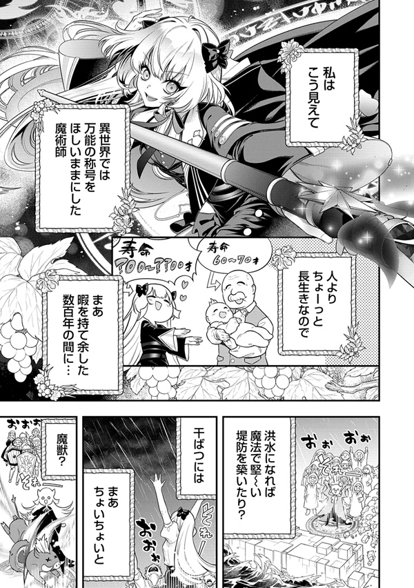 信長の嫁、はじめました ~ポンコツ魔女の戦国内政伝~