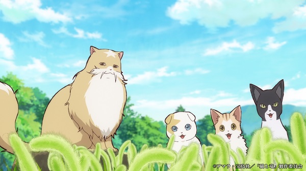 猫と竜