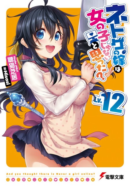 ネトゲの嫁は女の子じゃないと思った12