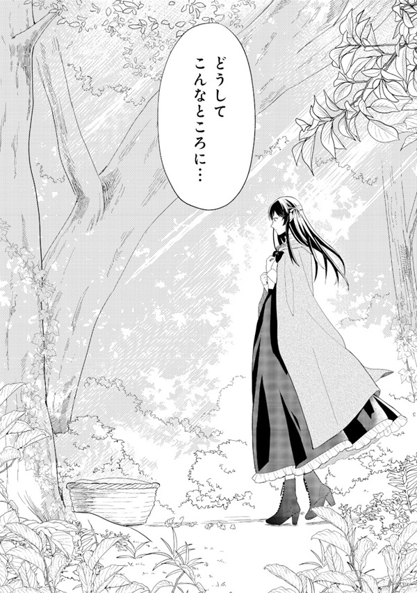 森で聖女を拾った最強の吸血姫