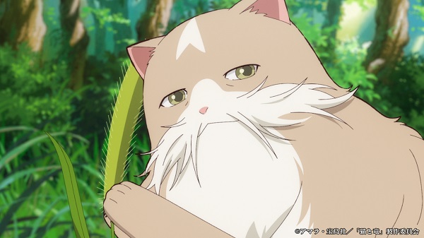 猫と竜