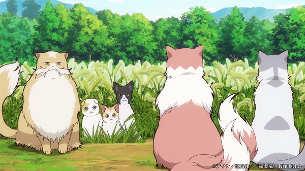猫と竜