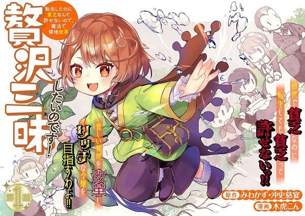 贅沢三昧したいのです！