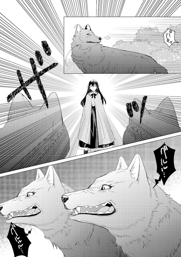 森で聖女を拾った最強の吸血姫