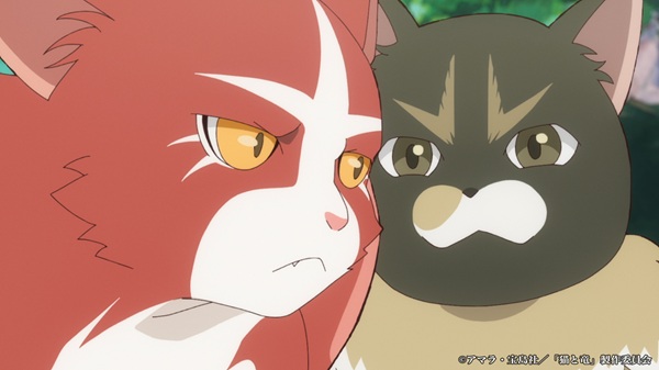 猫と竜