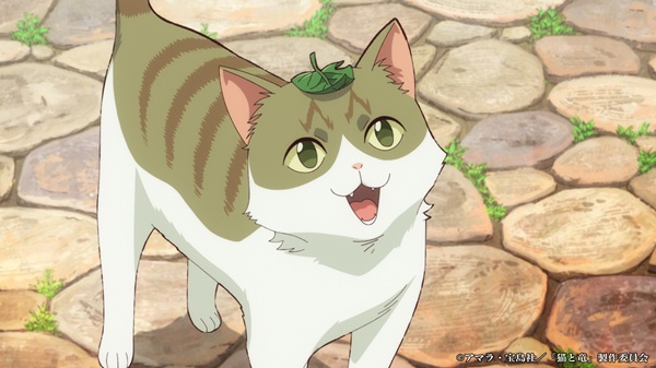 猫と竜