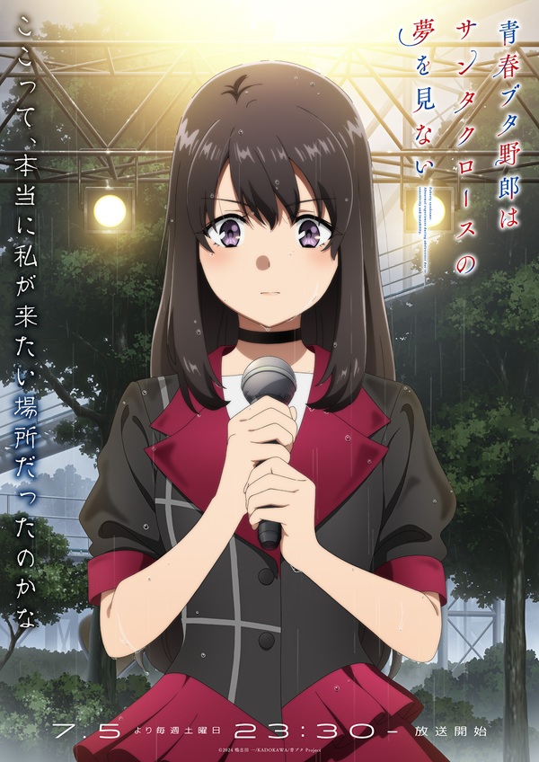 青春ブタ野郎はサンタクロースの夢を見ない