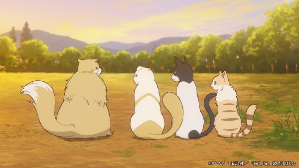 猫と竜
