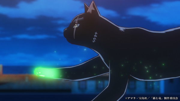 猫と竜