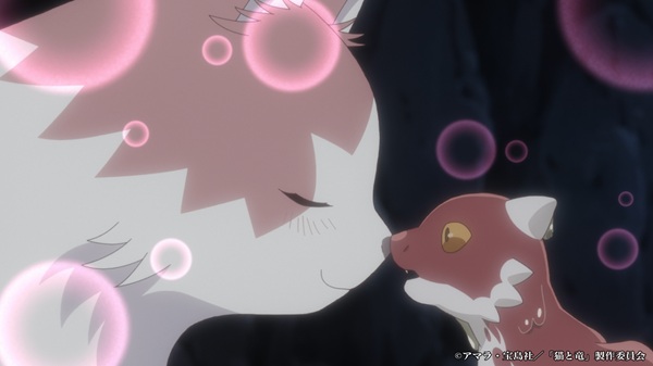 猫と竜
