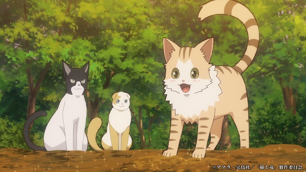 猫と竜