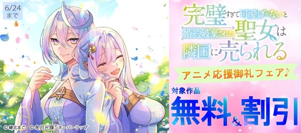 完璧すぎて可愛げがないと婚約破棄された聖女は隣国に売られる