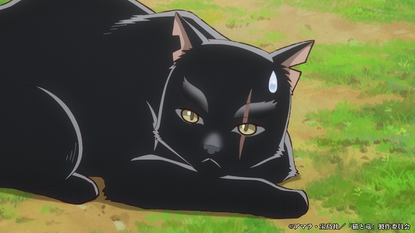 猫と竜