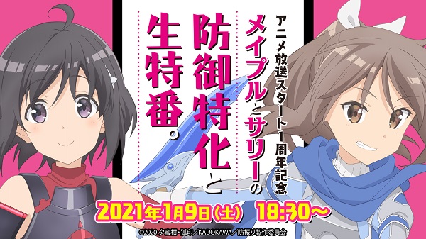 メイプルとサリーの防御特化と生特番。