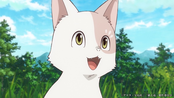 猫と竜