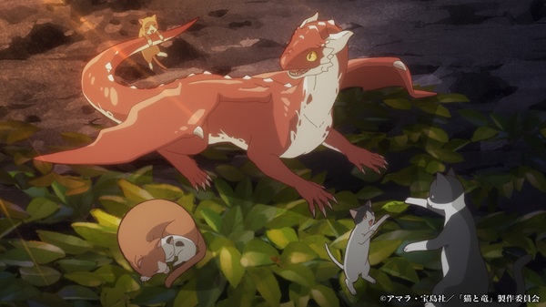 猫と竜
