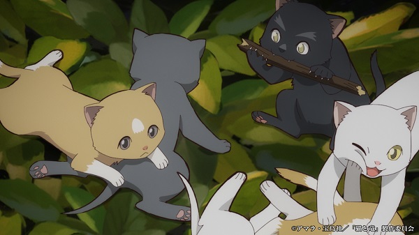 猫と竜