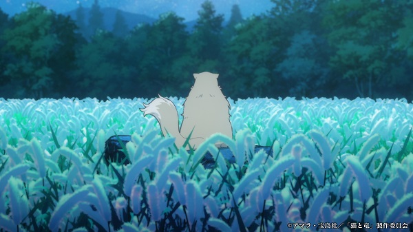 猫と竜