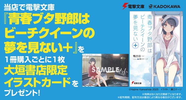 青春ブタ野郎はビーチクイーンの夢を見ない