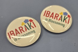 薬屋のひとりごと