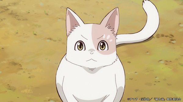 猫と竜