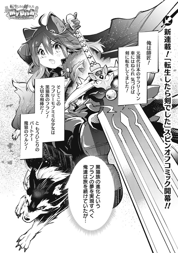 転生したら剣でした